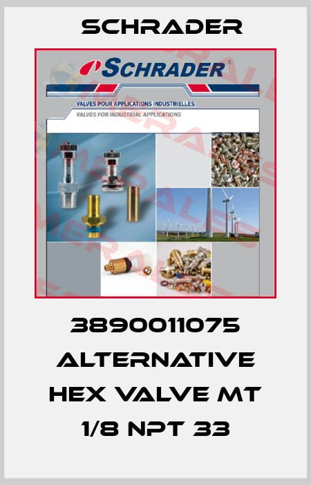 3890011075 alternative HEX VALVE MT 1/8 NPT 33 Schrader
