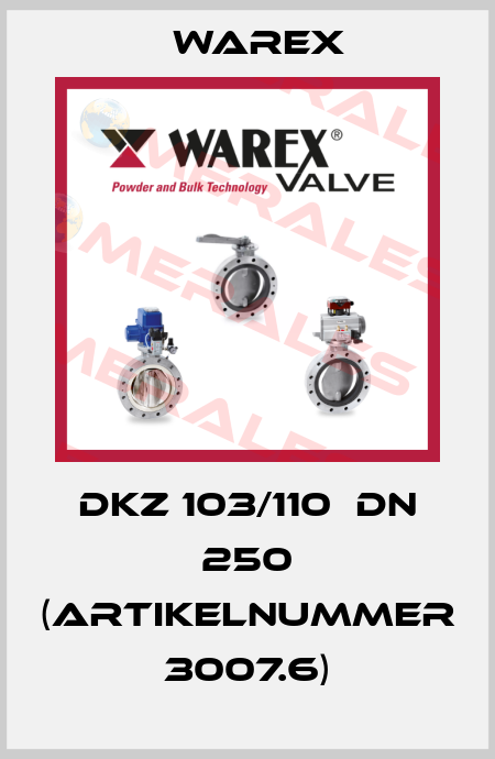 DKZ 103/110  DN 250 (Artikelnummer 3007.6) Warex