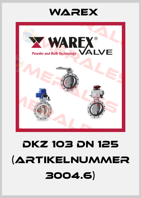 DKZ 103 DN 125 (Artikelnummer 3004.6) Warex