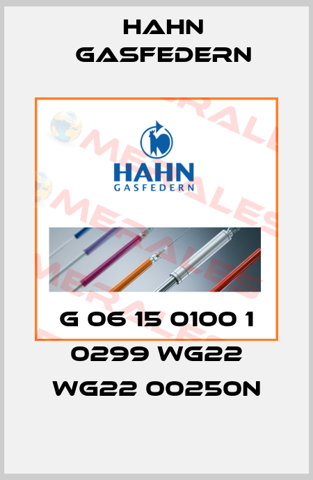 G 06 15 0100 1 0299 WG22 WG22 00250N Hahn Gasfedern