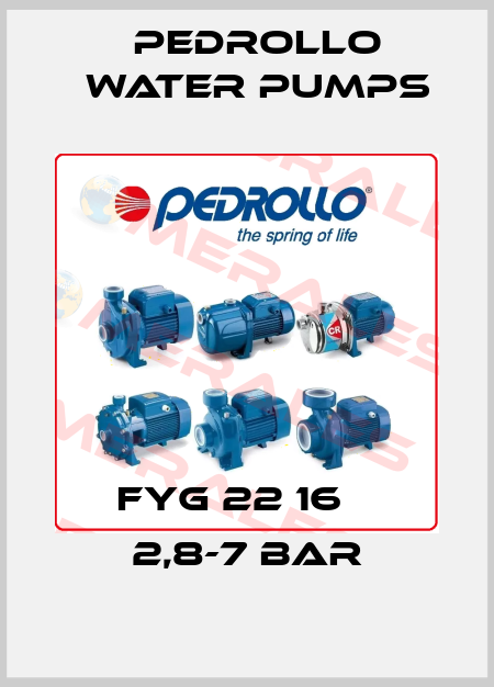 FYG 22 16А  2,8-7 bar Pedrollo Water Pumps