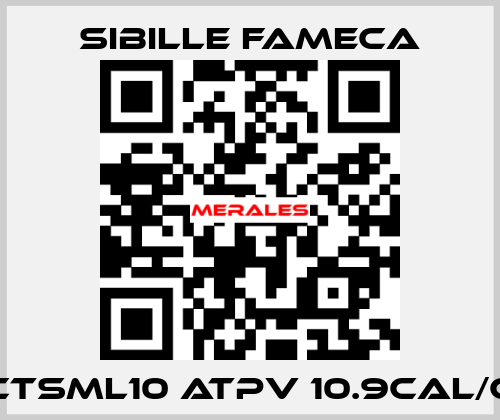 ARCTSML10 ATPV 10.9CAL/CM2 Sibille Fameca