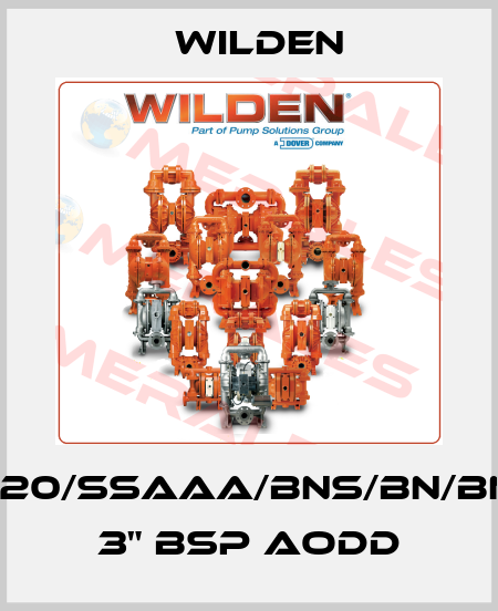 XPS1520/SSAAA/BNS/BN/BN/0014 3" BSP AODD Wilden