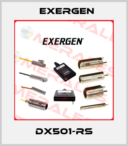 DX501-RS Exergen