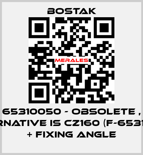 65310050 - obsolete , alternative is CZ160 (F-65310021)) + fixing angle Bostak