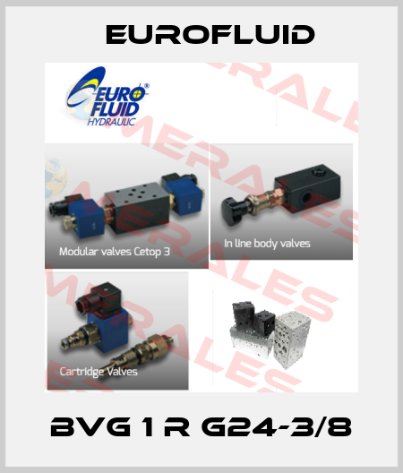 BVG 1 R G24-3/8 Eurofluid