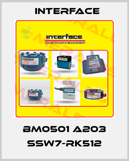 BM0501 A203 SSW7-RK512 Interface
