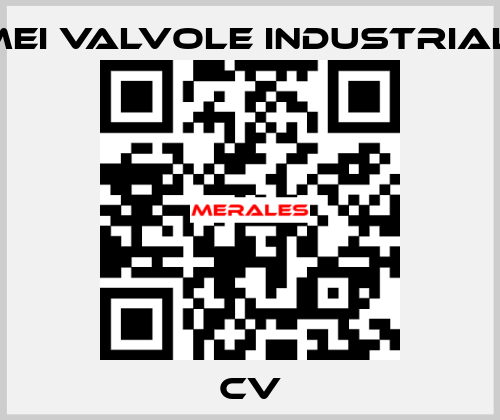 CV MEI VALVOLE INDUSTRIALI