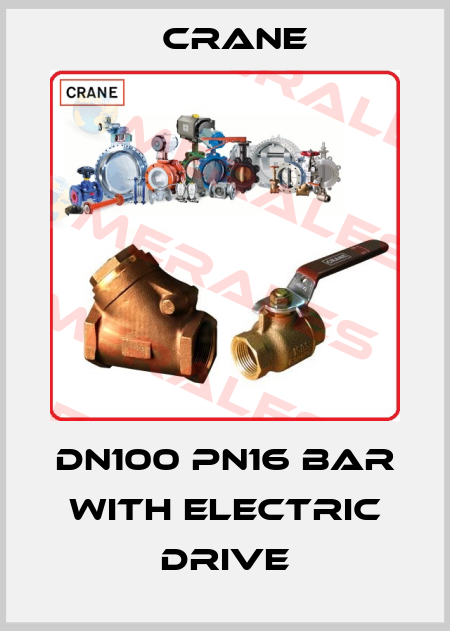 DN100 Pn16 bar with electric drive Crane