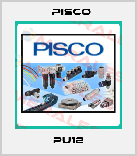 PU12 Pisco