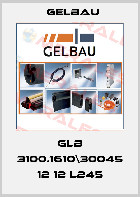 GLB 3100.1610\30045 12 12 L245 Gelbau