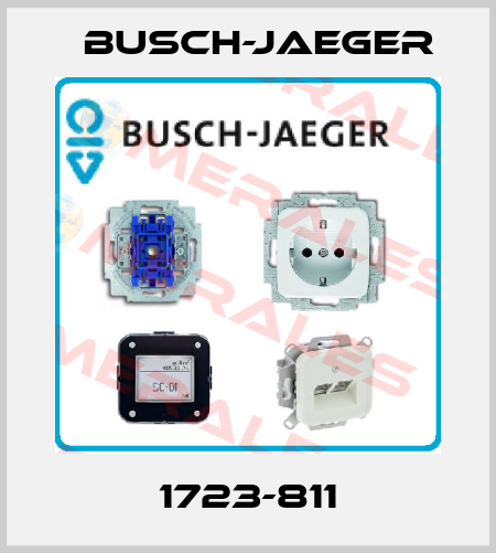 1723-811 Busch-Jaeger