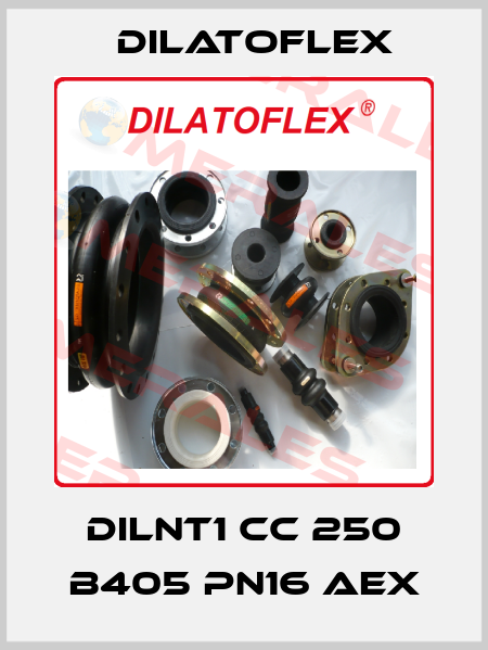 DILNT1 CC 250 B405 PN16 AEX DILATOFLEX