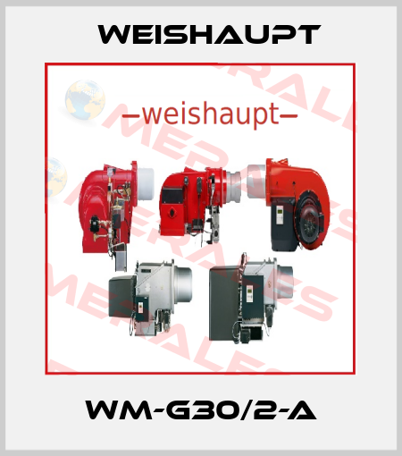 WM-G30/2-A Weishaupt