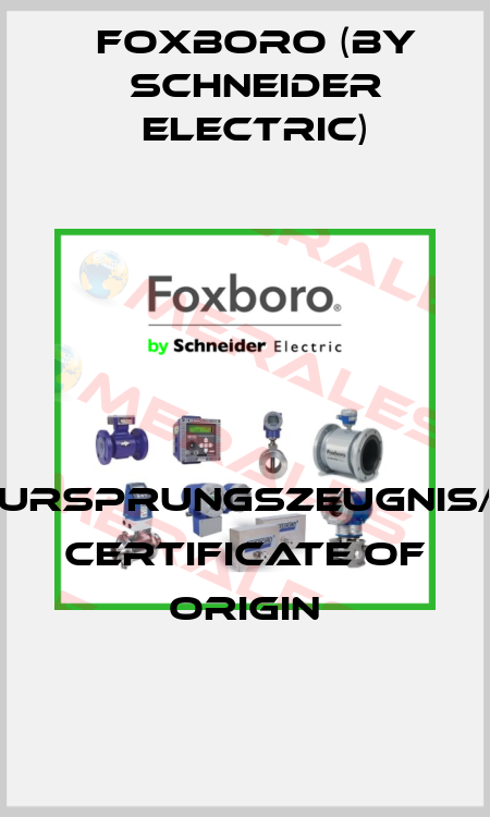 Ursprungszeugnis/ Certificate of Origin Foxboro (by Schneider Electric)
