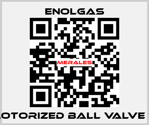 MOTORIZED BALL VALVE 1"  Enolgas