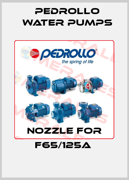 NOZZLE FOR F65/125A  Pedrollo Water Pumps