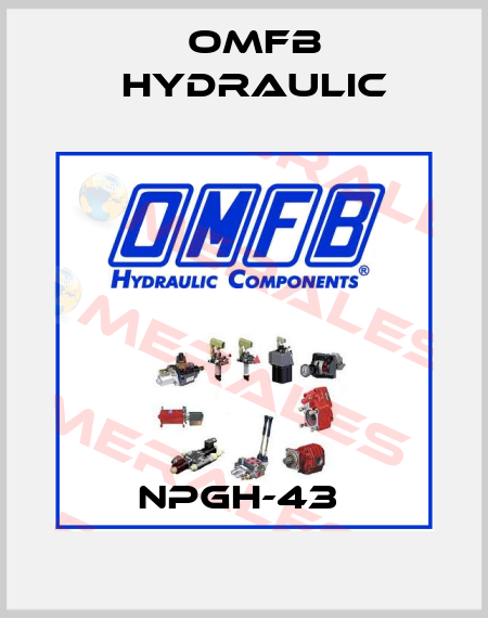 NPGH-43  OMFB Hydraulic