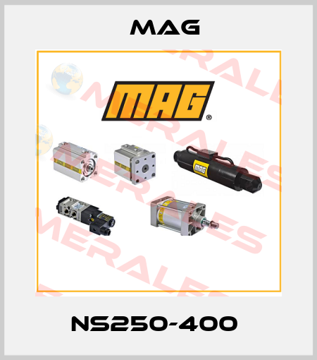 NS250-400  Mag
