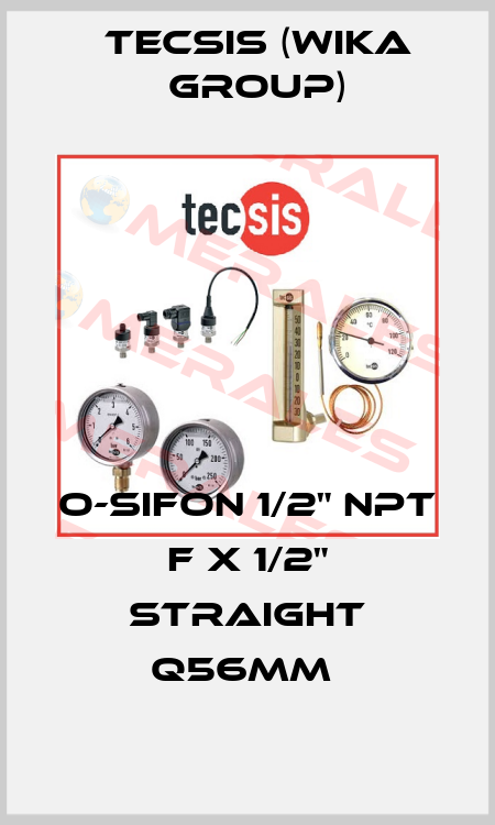 O-SIFON 1/2" NPT F X 1/2" STRAIGHT Q56MM  Tecsis (WIKA Group)