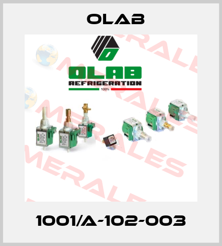 1001/A-102-003 Olab