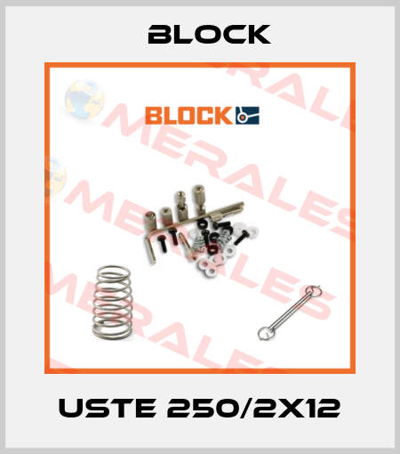 USTE 250/2x12 Block