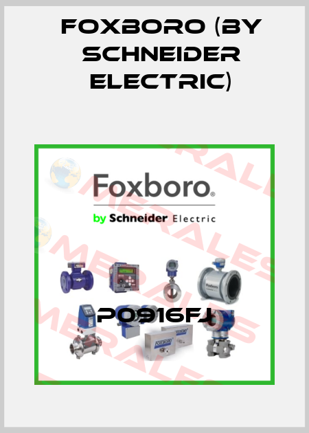 P0916FJ Foxboro (by Schneider Electric)