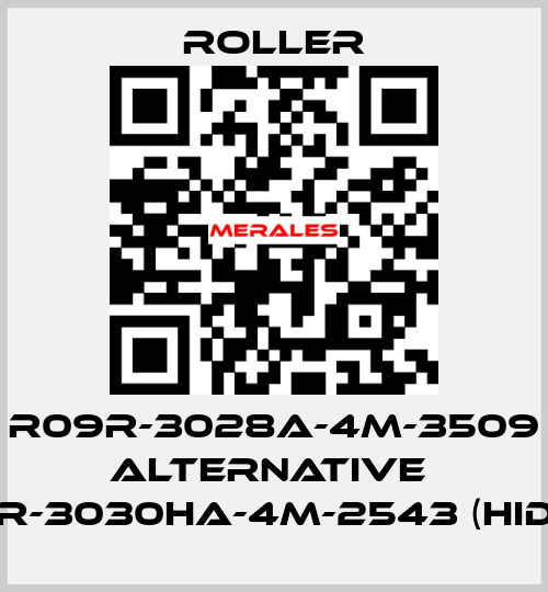 R09R-3028A-4M-3509 alternative  R09R-3030HA-4M-2543 (Hidria) Roller