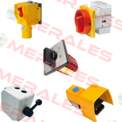 D3 00/HS-F35-D-RG /33000220 Elektra Tailfingen