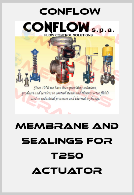 MEMBRANE AND SEALINGS FOR T250 ACTUATOR CONFLOW