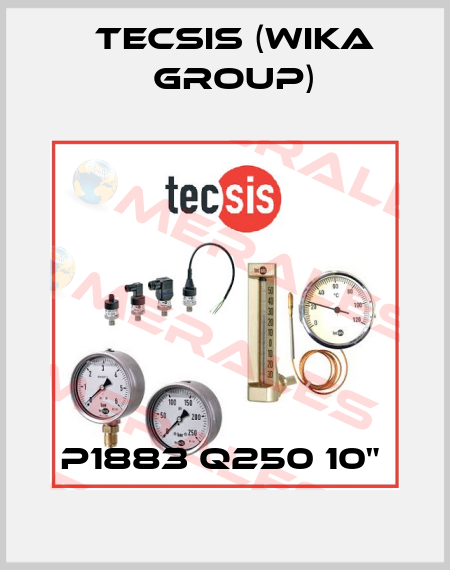 P1883 Q250 10"  Tecsis (WIKA Group)