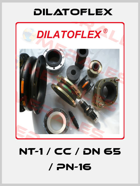 NT-1 / CC / DN 65 / PN-16 DILATOFLEX