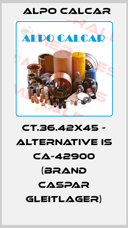 CT.36.42x45 - alternative is CA-42900 (Brand Caspar Gleitlager) Alpo Calcar