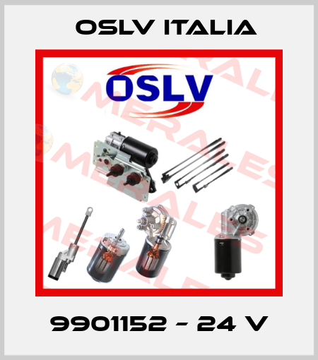 9901152 – 24 V OSLV Italia