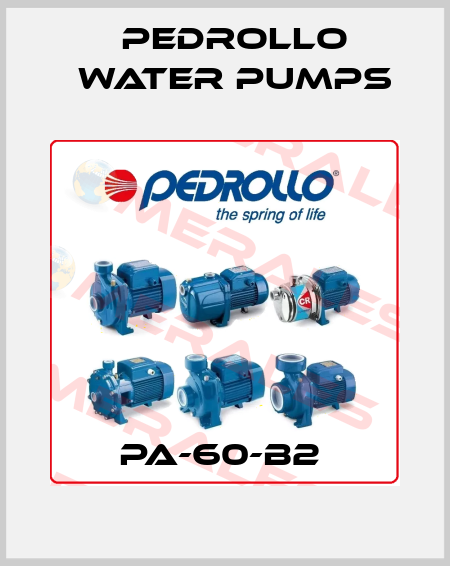 PA-60-B2  Pedrollo Water Pumps