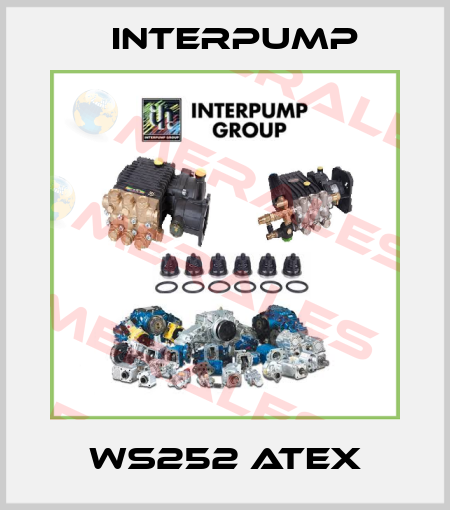 WS252 ATEX Interpump