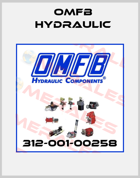 312-001-00258 OMFB Hydraulic