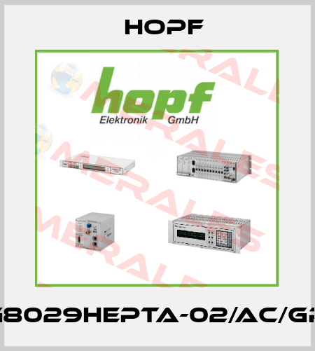 FG8029HEPTA-02/AC/GPS Hopf