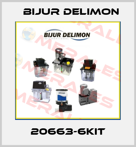 20663-6KIT Bijur Delimon