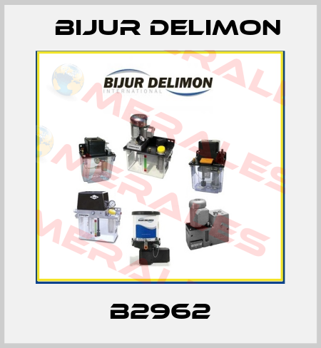 B2962 Bijur Delimon