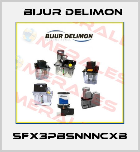 SFX3PBSNNNCXB Bijur Delimon