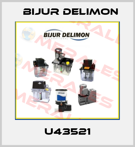 U43521 Bijur Delimon