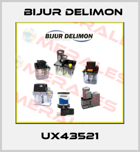 UX43521 Bijur Delimon