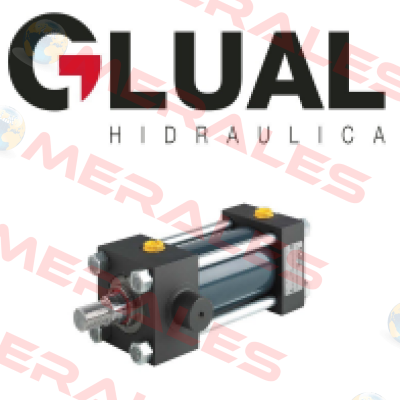 KI-25/12X200-Y303-1-AD-A-M-30 Glual Hydraulics