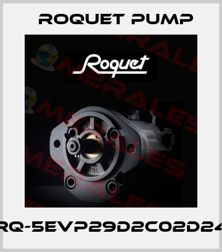 RQ-5EVP29D2C02D24 Roquet pump