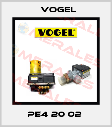 PE4 20 02  Vogel
