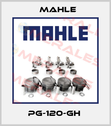 PG-120-GH  MAHLE