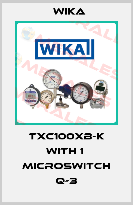 TXC100XB-K with 1  microswitch Q-3 Wika