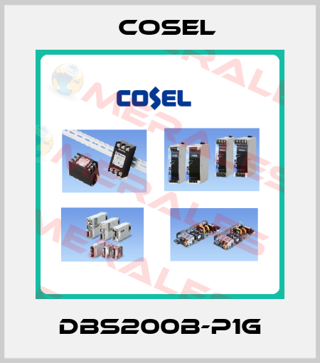 DBS200B-P1G Cosel