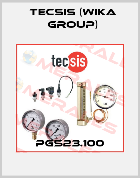 PGS23.100 Tecsis (WIKA Group)